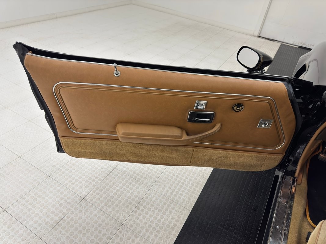 Pontiac-Firebird-1981-Coupe-34