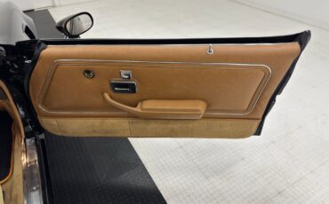 Pontiac-Firebird-1981-Coupe-35