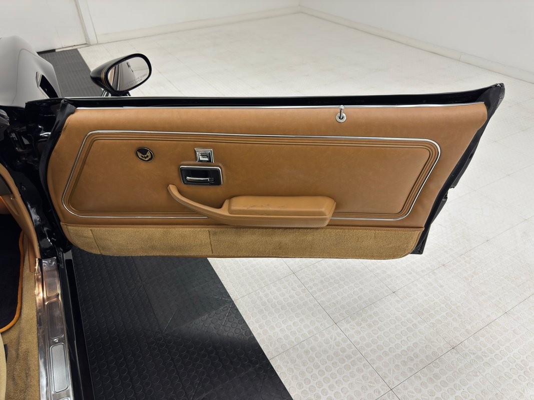 Pontiac-Firebird-1981-Coupe-35