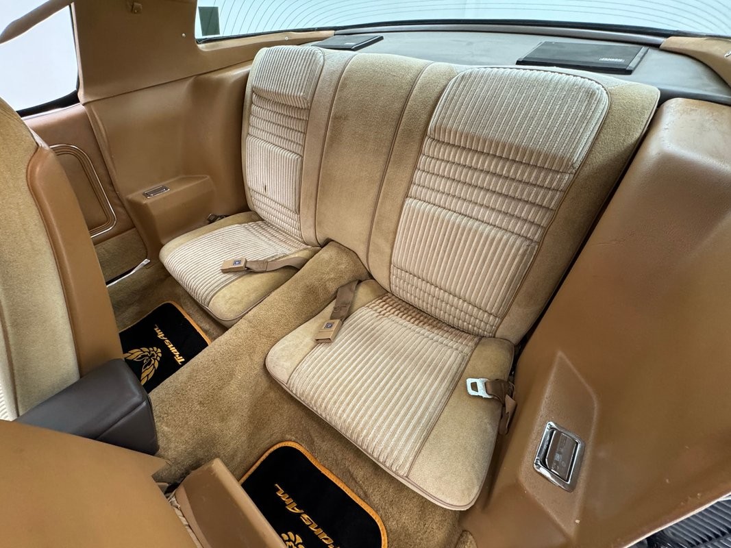 Pontiac-Firebird-1981-Coupe-38