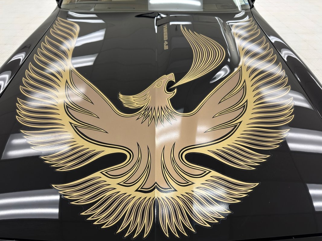 Pontiac-Firebird-1981-Coupe-9