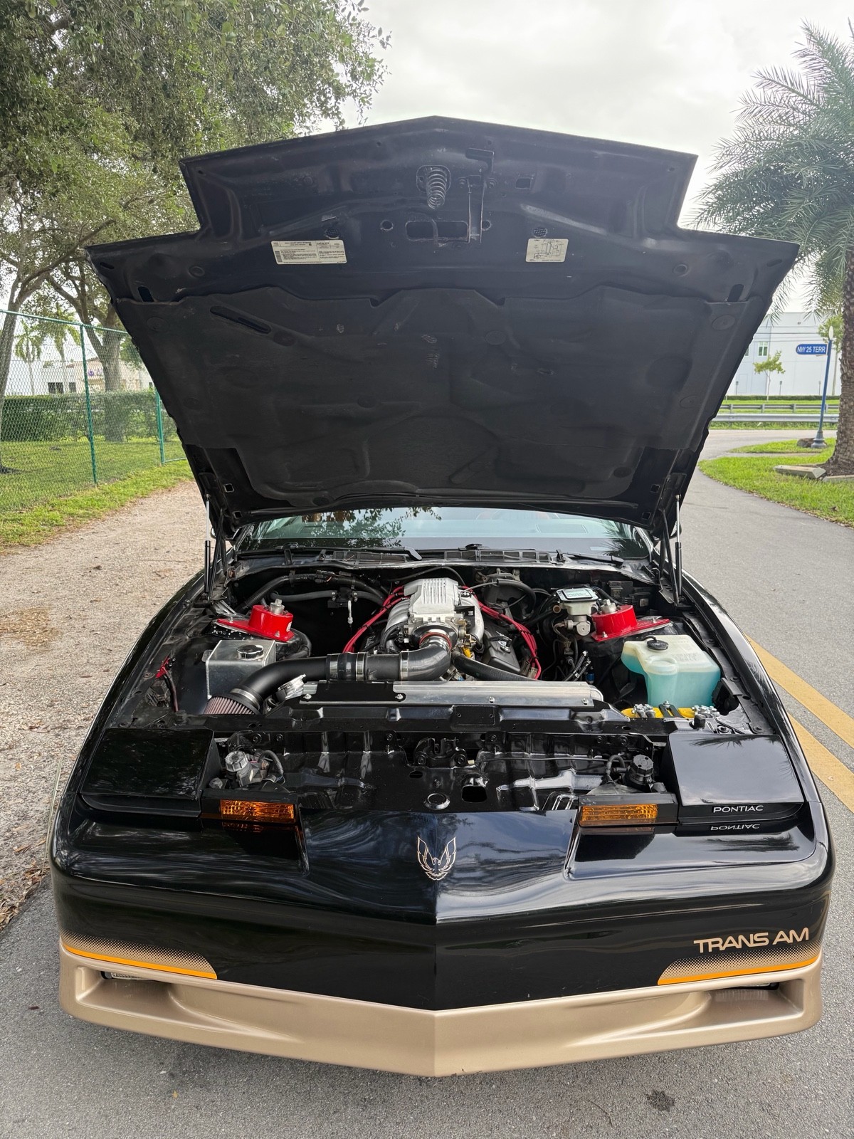 Pontiac-Firebird-1985-4