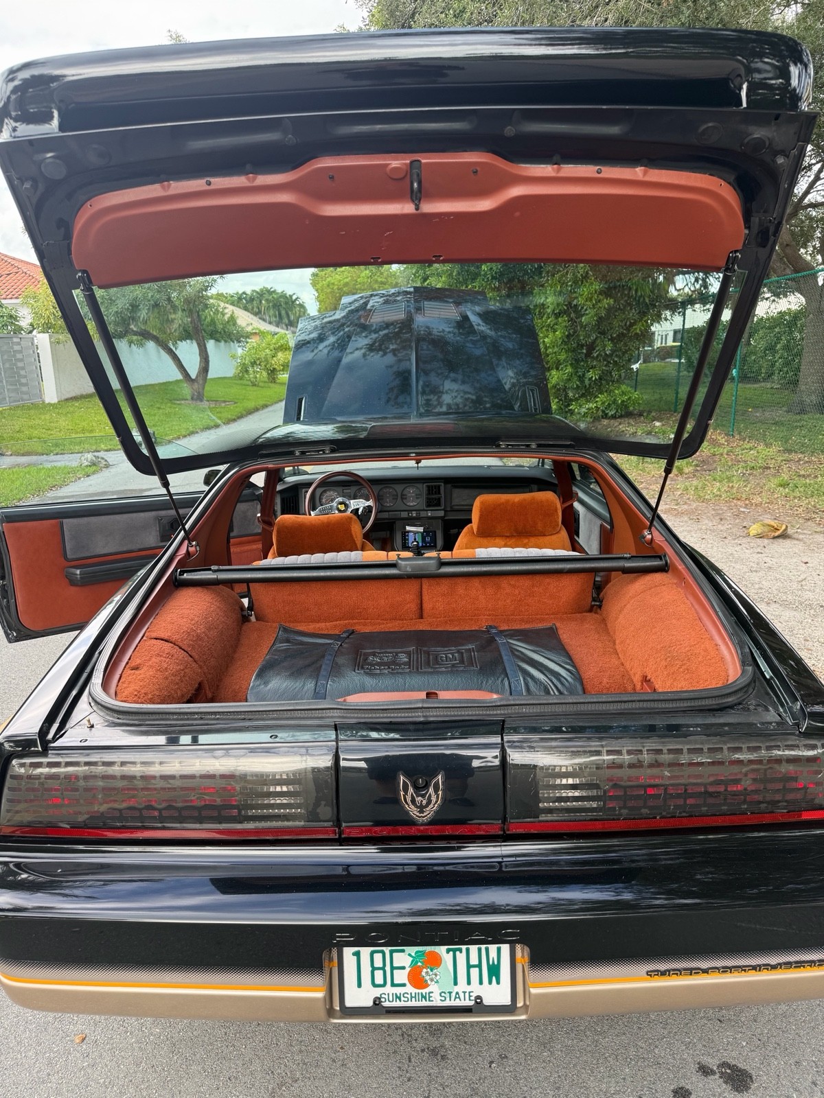 Pontiac-Firebird-1985-5