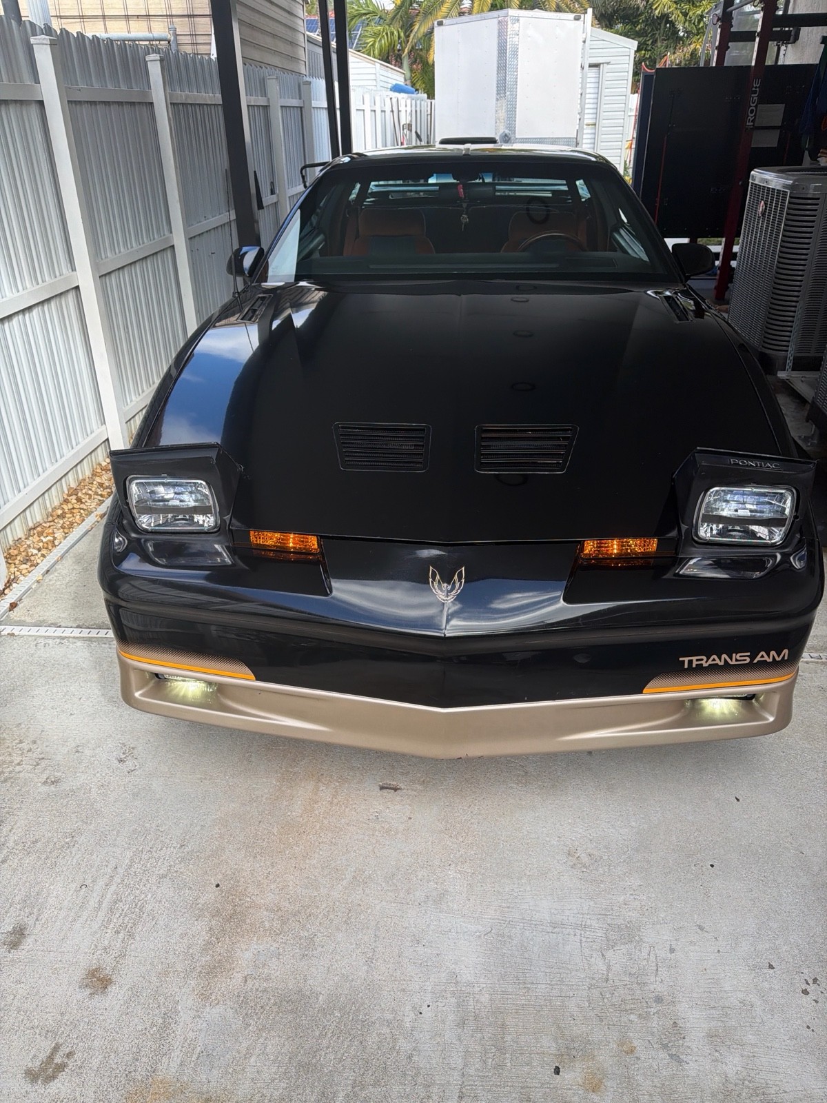 Pontiac-Firebird-1985-6