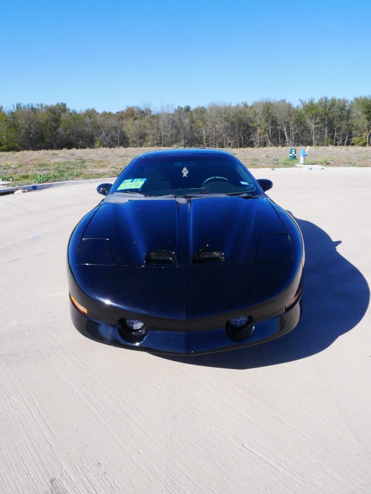 Pontiac-Firebird-1995-1