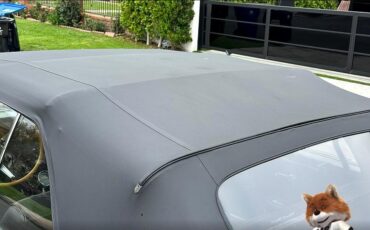 Pontiac-GTO-1965-Convertible-11