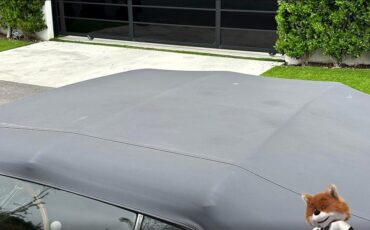 Pontiac-GTO-1965-Convertible-16