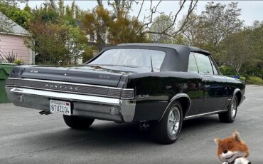 Pontiac-GTO-1965-Convertible-4