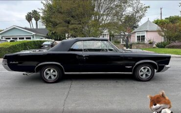 Pontiac-GTO-1965-Convertible-8