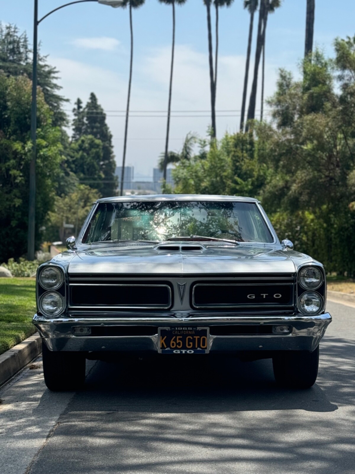 Pontiac GTO 1965 Coupe