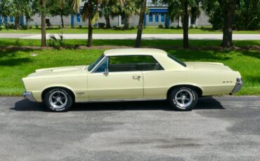 Pontiac-GTO-1965-Other-10