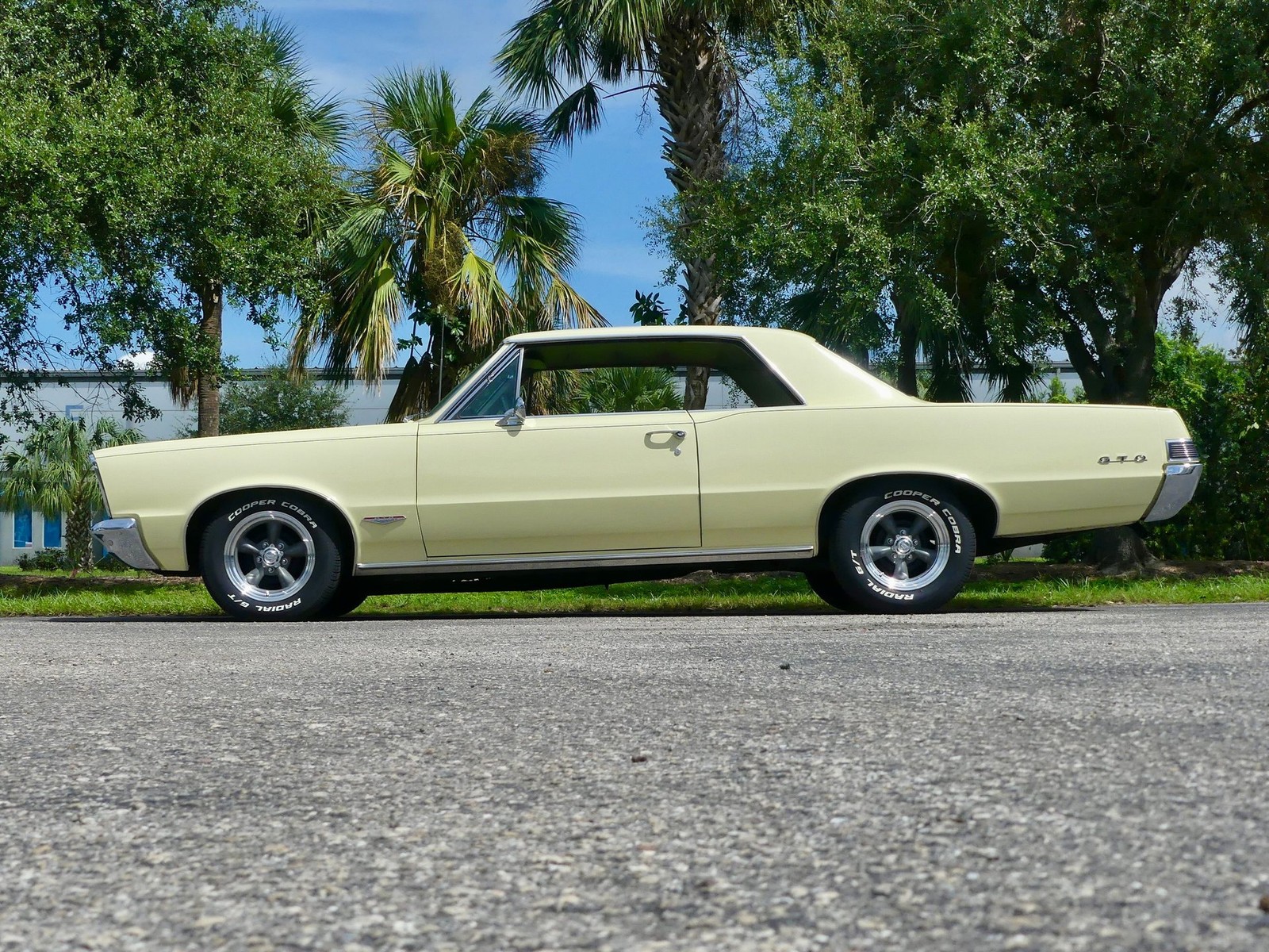 Pontiac-GTO-1965-Other-11