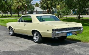 Pontiac-GTO-1965-Other-12