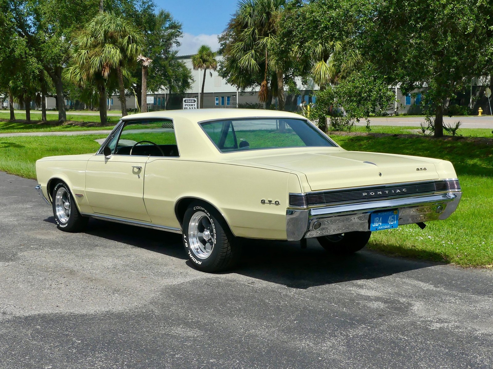 Pontiac-GTO-1965-Other-12
