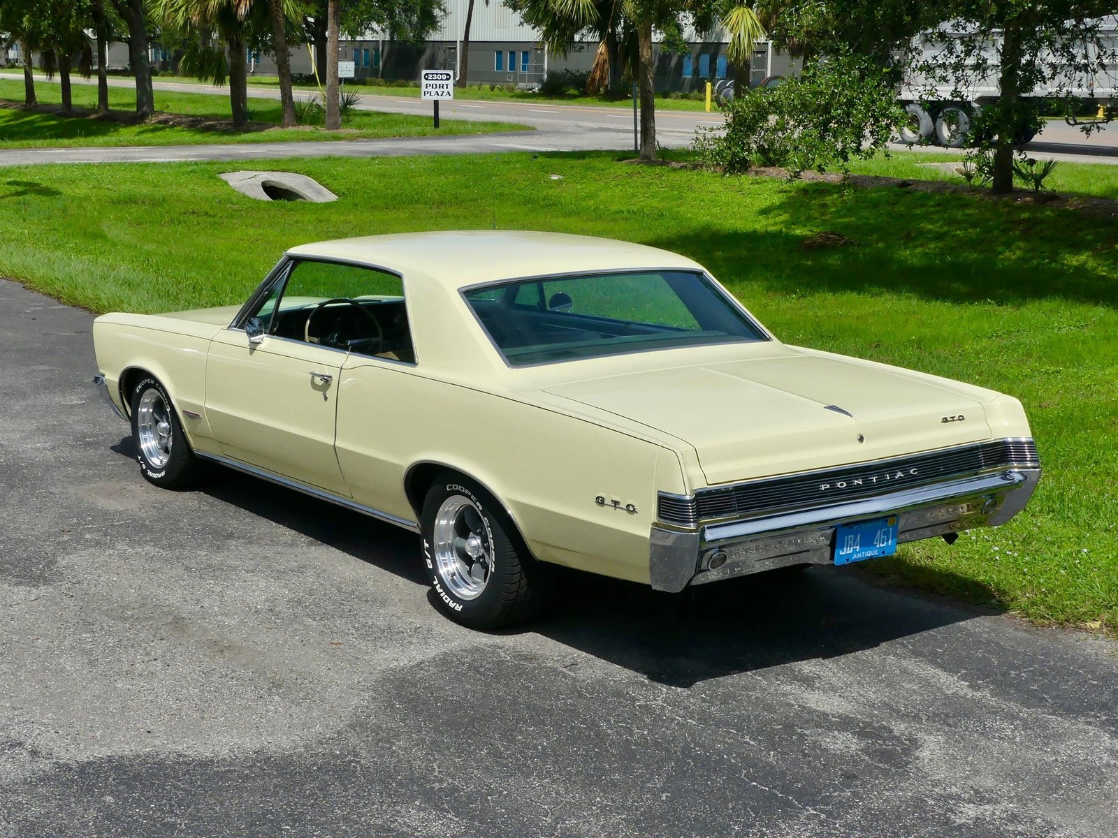 Pontiac-GTO-1965-Other-13