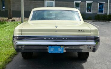 Pontiac-GTO-1965-Other-15