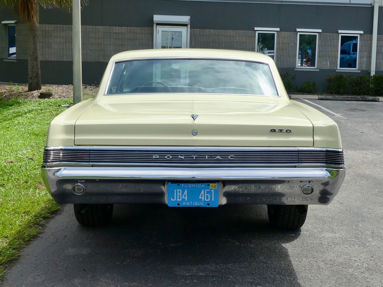 Pontiac-GTO-1965-Other-15