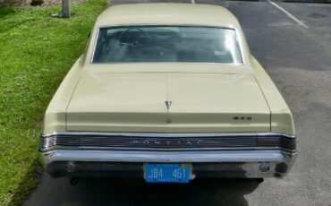 Pontiac-GTO-1965-Other-16
