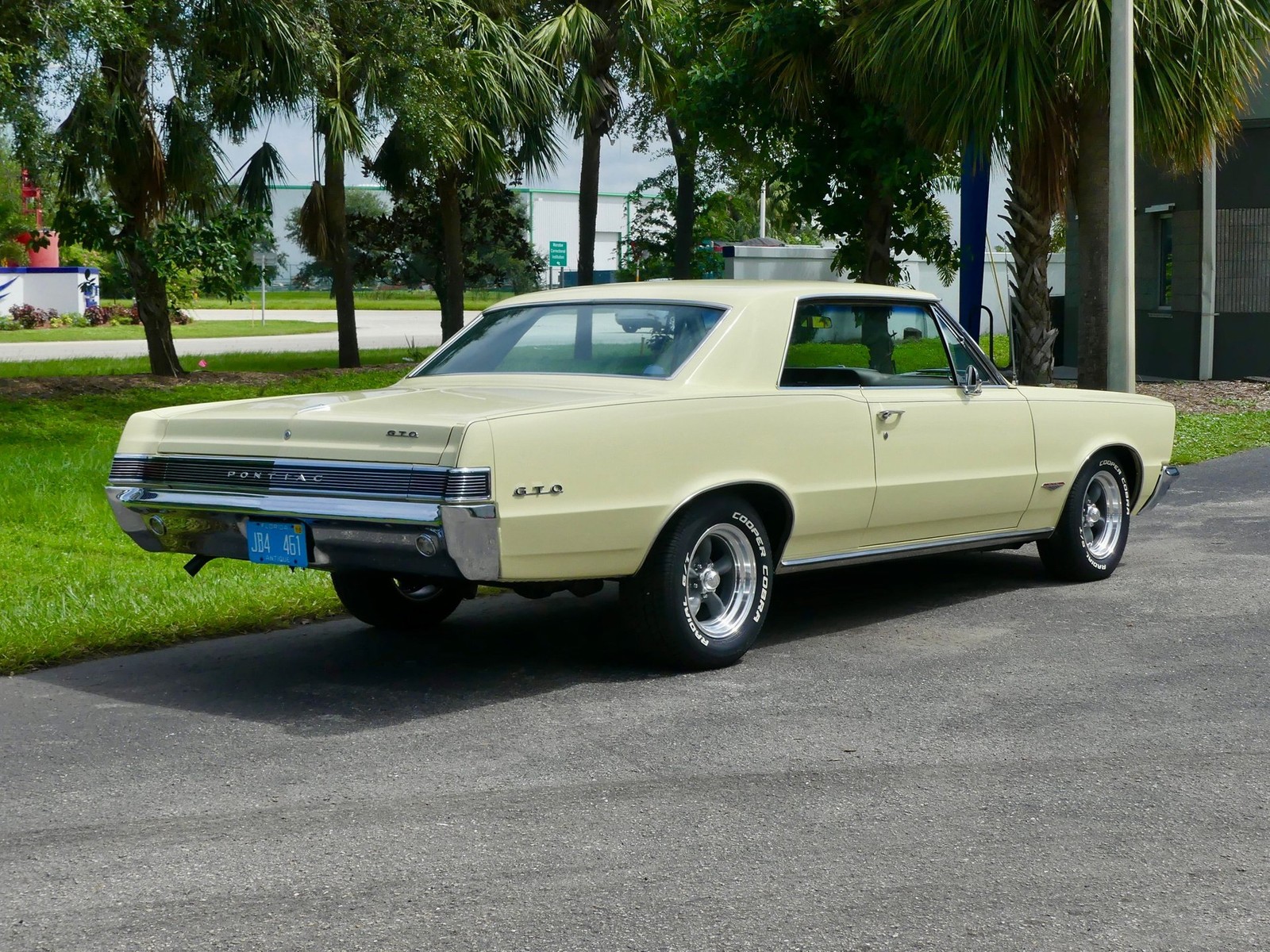 Pontiac-GTO-1965-Other-18