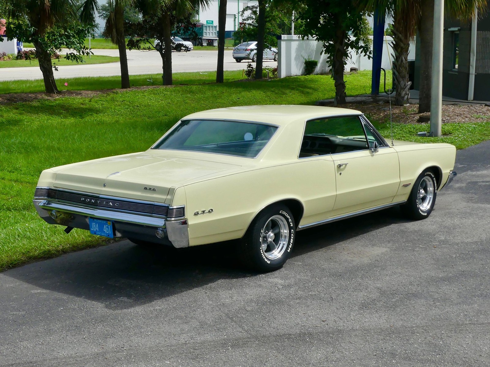 Pontiac-GTO-1965-Other-19