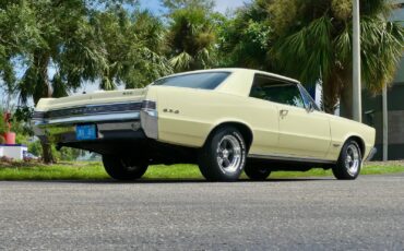 Pontiac-GTO-1965-Other-20