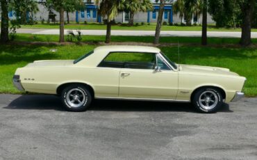 Pontiac-GTO-1965-Other-21