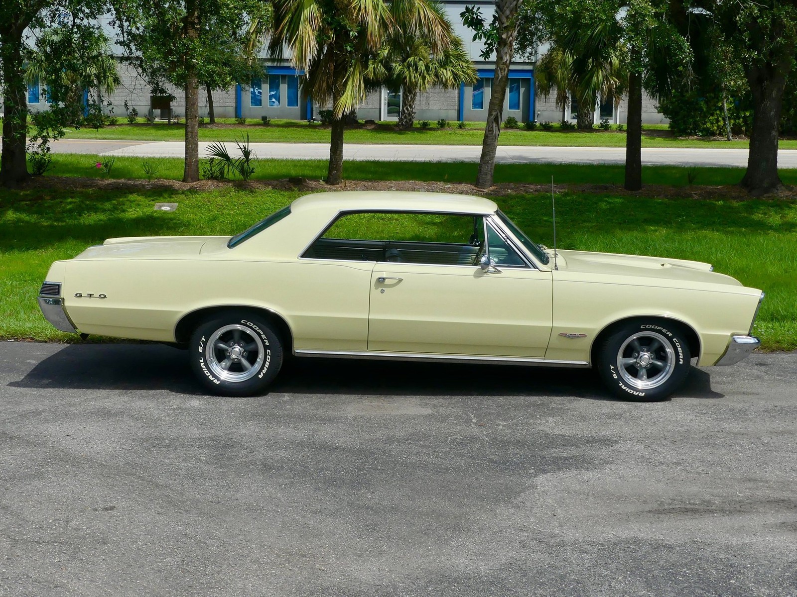 Pontiac-GTO-1965-Other-21