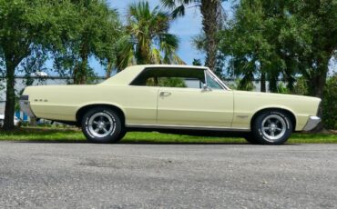 Pontiac-GTO-1965-Other-22