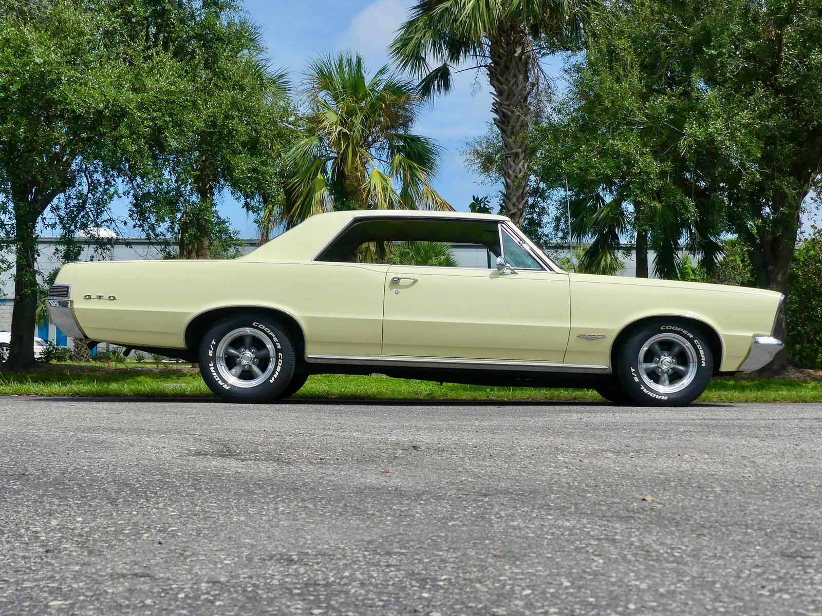 Pontiac-GTO-1965-Other-22