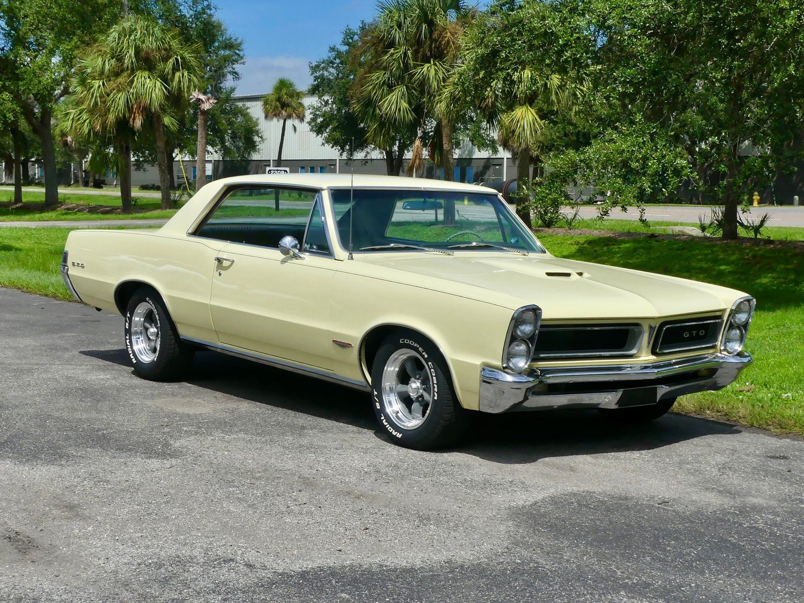 Pontiac-GTO-1965-Other-23
