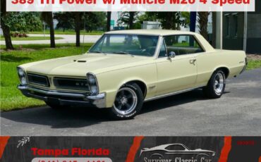 Pontiac-GTO-1965-Other