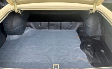 Pontiac-GTO-1965-Other-4