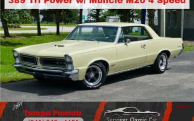 Pontiac GTO 1965 Other