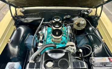 Pontiac-GTO-1965-Other-5