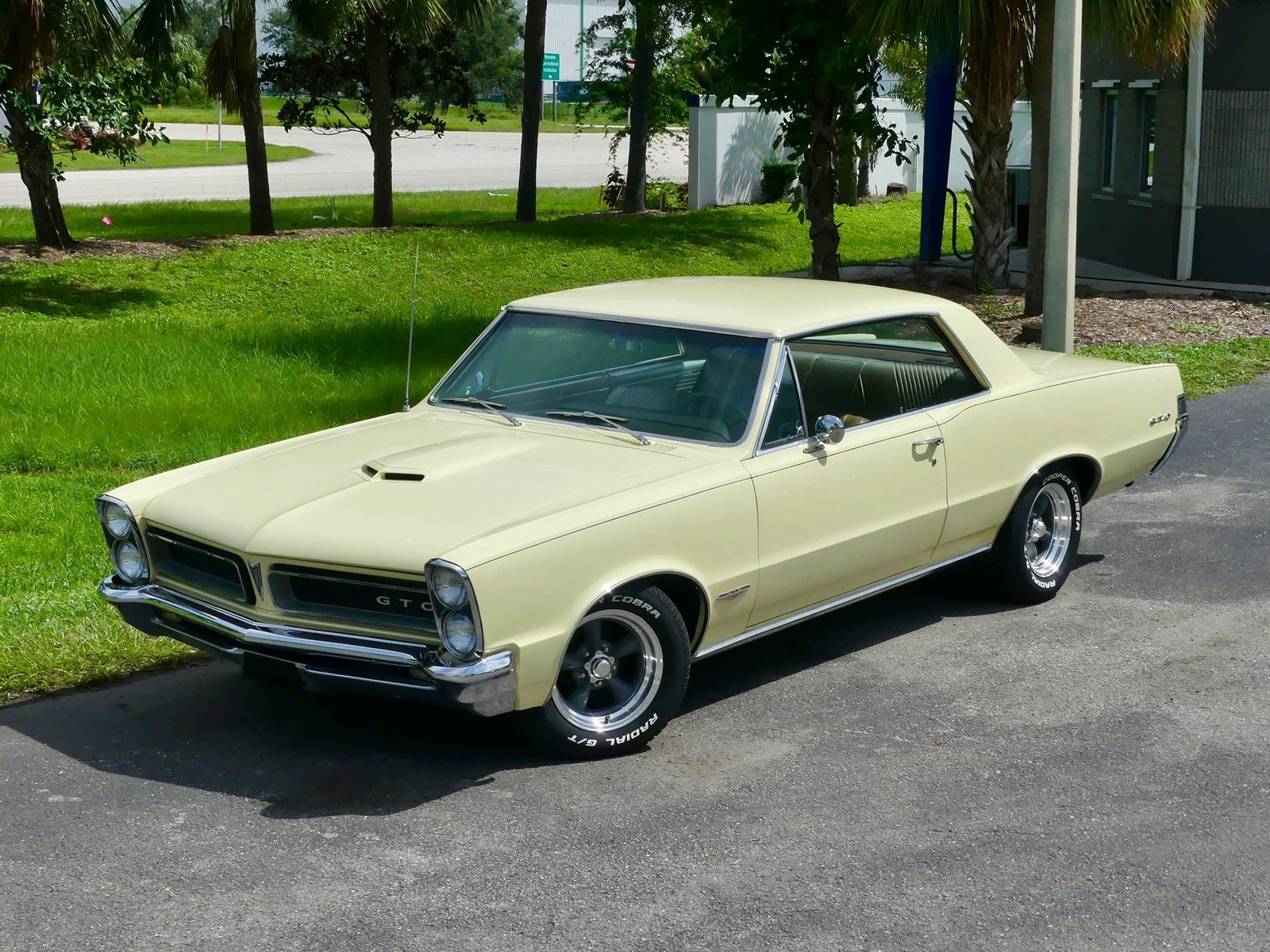 Pontiac-GTO-1965-Other-7