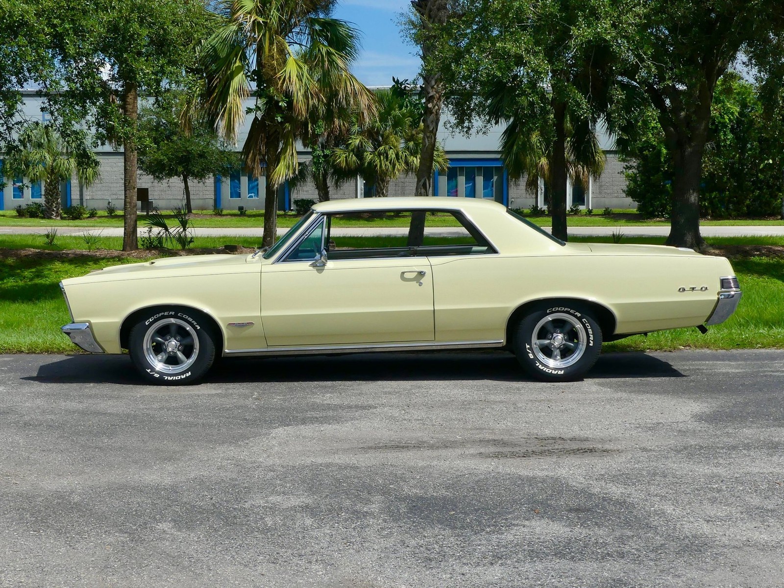 Pontiac-GTO-1965-Other-9