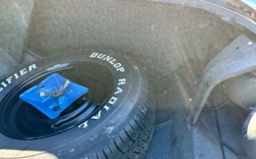 Pontiac-GTO-1966-Convertible-17