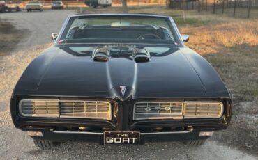 Pontiac-GTO-1968-Convertible-11
