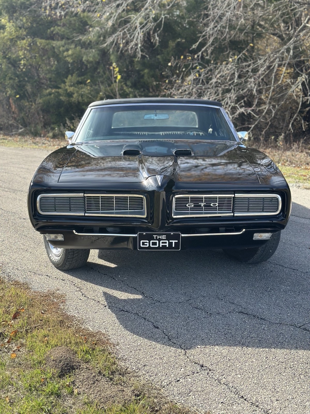 Pontiac-GTO-1968-Convertible-4