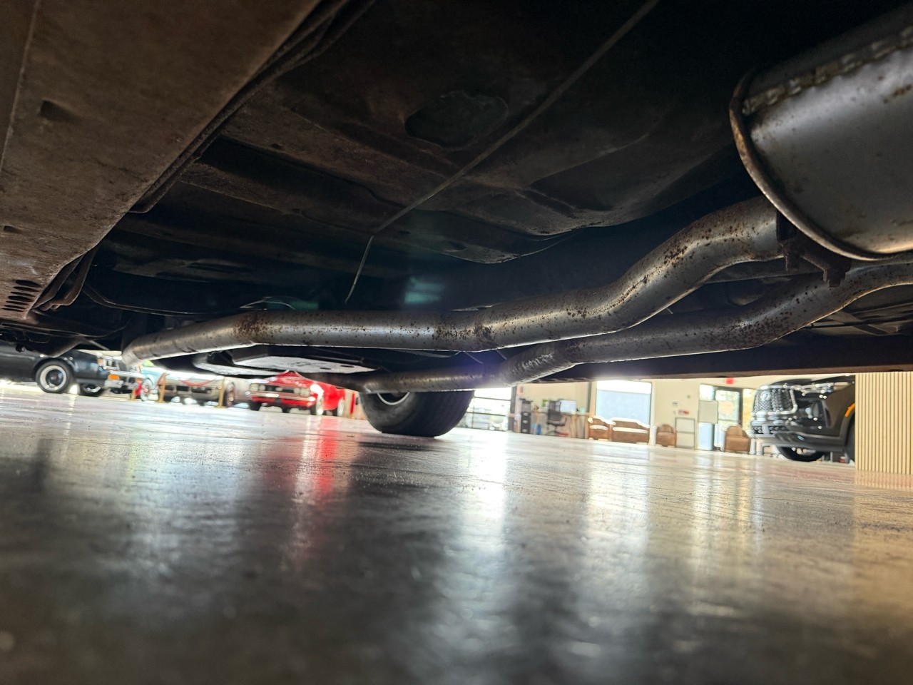 Pontiac-GTO-1969-American-Muscle-Car-34