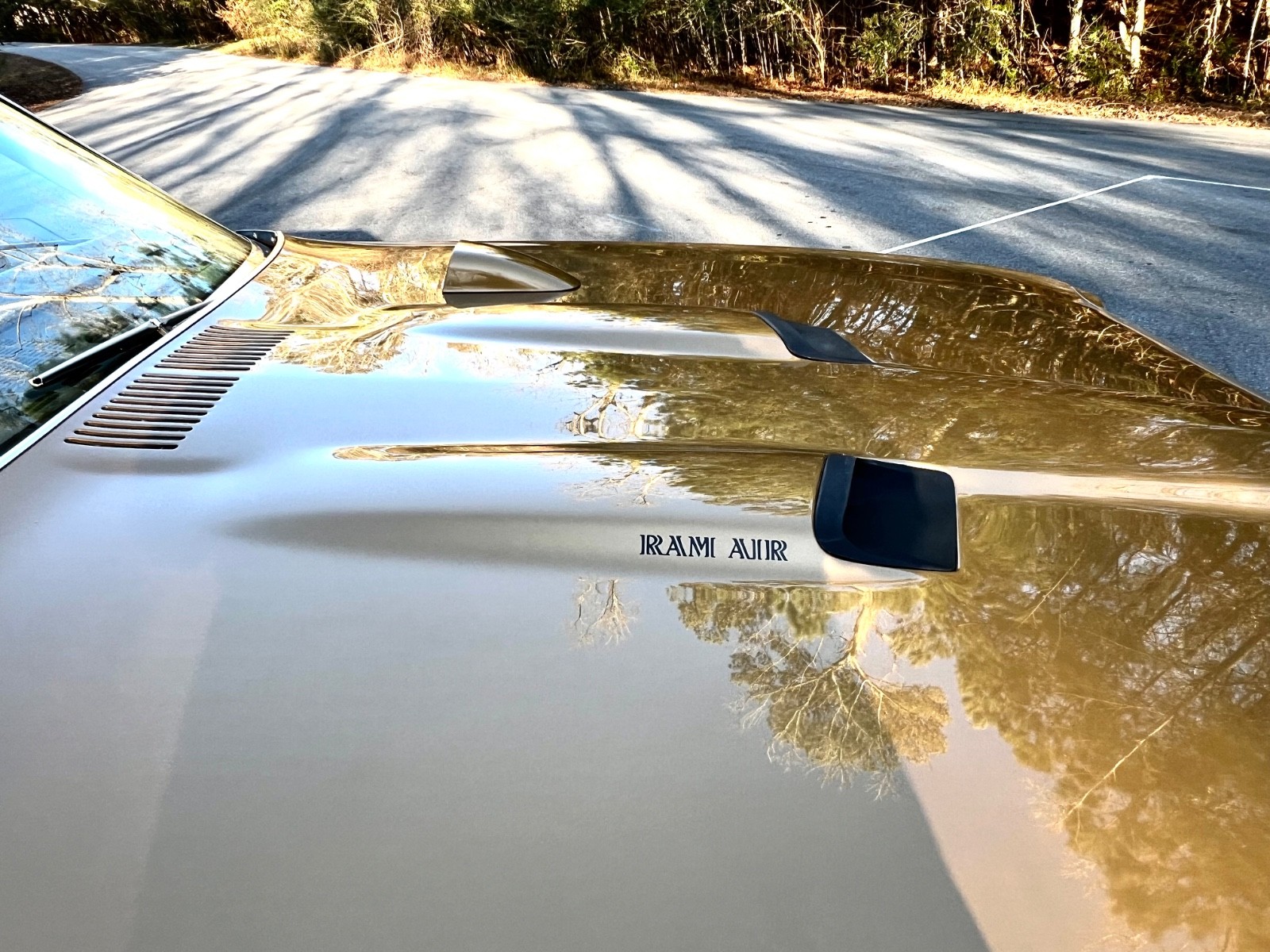 Pontiac-GTO-1970-Coupe-16