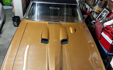 Pontiac-GTO-1970-Coupe-17