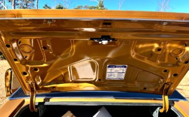 Pontiac-GTO-1970-Coupe-23