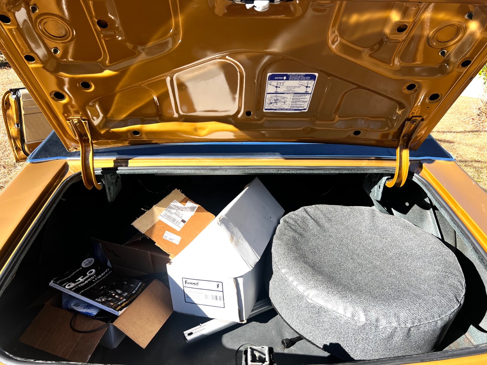 Pontiac-GTO-1970-Coupe-24