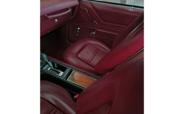 Pontiac-Grand-am-1973-black-red-20