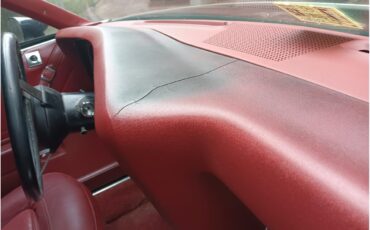 Pontiac-Grand-am-1973-black-red-23