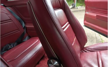 Pontiac-Grand-am-1973-black-red-25