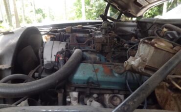 Pontiac-Grand-am-1973-black-red-38