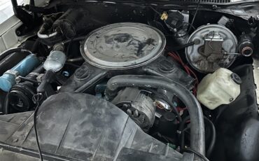 Pontiac-Gto-1970-Dark-Brown-Black-30