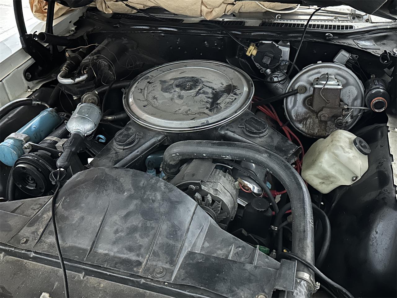 Pontiac-Gto-1970-Dark-Brown-Black-30